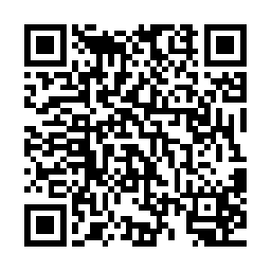 如果他们有点脑子的话此时一定会抓着里面的工作人员当人质二维码生成
