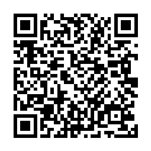 如果他此时不是刚打猎回来满身的血污和不容忽视的味道二维码生成