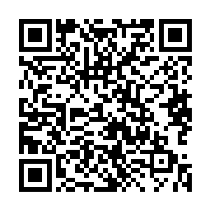 如果他此次贸然出手只怕不仅不能打败他们反而会伤了自己二维码生成