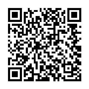 如果你不能表现出地方党委政府在这上边的强力支持二维码生成