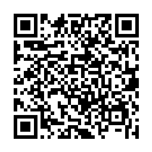 如果你打算用暴力或者和他们相同的方式来反抗他们二维码生成