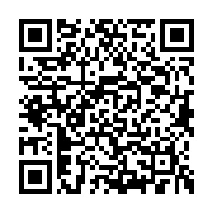 如果你还是不能放心我和李建河之间的往日恩怨二维码生成