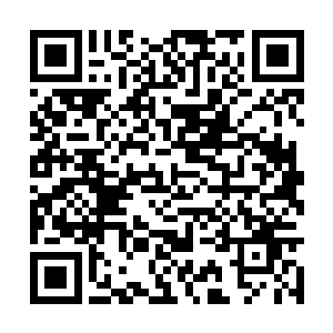 如果其本身所有的生命能量不足以支撑他完成进化二维码生成
