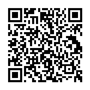 如果决定留下来参与到这份见证历史的事业中来二维码生成