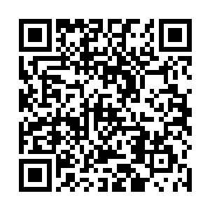 如果凤凰也是从那个奇异的通道中进入这个小空间的话二维码生成