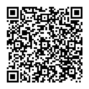 如果国家在政策上不分轩轾的对私人经济向对待公有制经济和合资外资企业那样扶持二维码生成