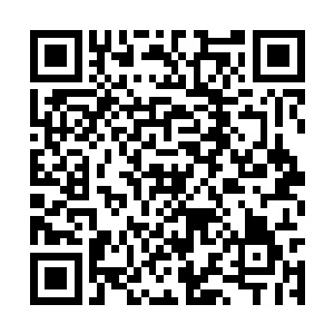 如果在免费试用期间非常完美的完成了试用的流程二维码生成