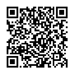 如果我们城卫军挡不住帝国常备第一军团和第二军团的进攻二维码生成