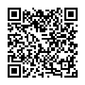 如果我们靖南也以雷霆手段将粮价控制在每石500文二维码生成