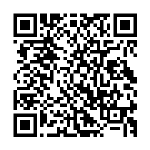 如果柳遇树只是借此事从侍郎男宠们那儿打捞点油水也便算了二维码生成