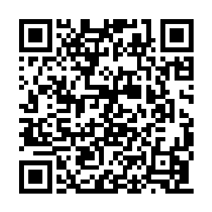 如果楚旬等人无法突破这禁制的力量那自然最好二维码生成