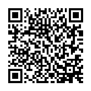 如果真的能够以优秀新生代表的身份站在清北大学的主席台上二维码生成