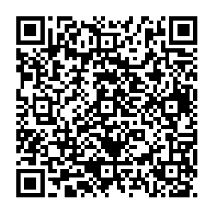 如果能够利用这件事为她的客户拿到第四个奥斯卡――让珍妮弗成为从生到死都充满轰动二维码生成