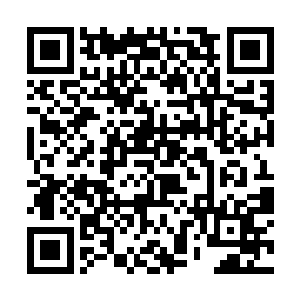 如果自己是飞龙部落的族人的话一定把白娇给换过来二维码生成
