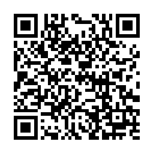 如果自己能够和凌波仙子这种隐世家族弟子拉上关系二维码生成