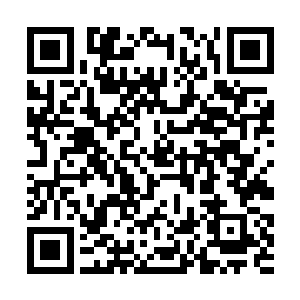 如果说乡镇企业改制那不过是触动了某些人敏感神经二维码生成