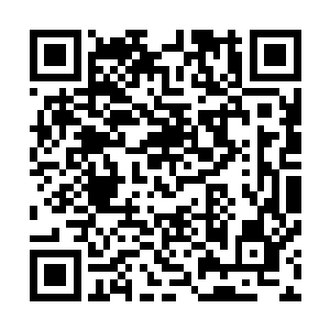 如果说二十轮前的兵伐诀在速成方面可以称得上第一流功法二维码生成