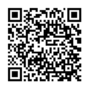 如果说能械师对于机师的作用主要是专注于机甲的维护和治疗二维码生成
