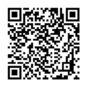 如果说还有什么是比极品驻颜丹能够让婉秀两人更渴求二维码生成