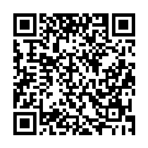 如果郑卫华不能把他的非法收入全部或者大部分转移出去二维码生成