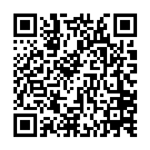 如果阿卜杜拉要是把胡赛武装的炮兵都交给你指挥二维码生成