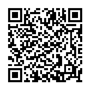 如果面对真正的拥有一阶法圣顶峰的修为的强者二维码生成