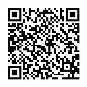 如果魔帝还有那几位强大的中神与这只老怪物对上……所以二维码生成