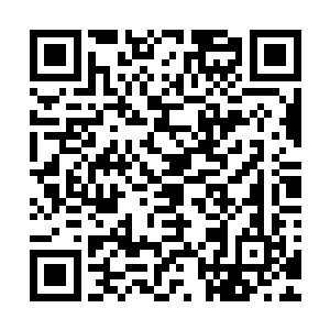 如此大范围的全面反击真正是将四大天王给逼得有些手忙脚乱二维码生成