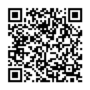 如此就剩下了自己雨族独自面对来自上元大陆的压力二维码生成