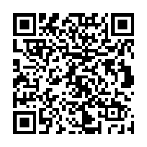 如此恐怖的气息即便是上品仙器的器劫只怕也没有这么恐怖二维码生成