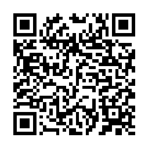 如此才能够确保五天之内从整个天脉域收集打探消息二维码生成