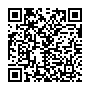 如若不是林辰在被幻术击中前施展了元灵屏障以保护他们的安全二维码生成