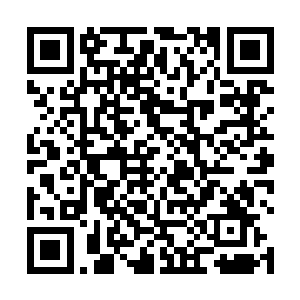 妖女若男气恼的一把将肩上的毛巾用力的丢向了朱平安二维码生成