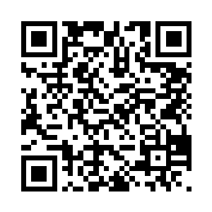 妮娜找了一处合适她动爪的地方下了水二维码生成