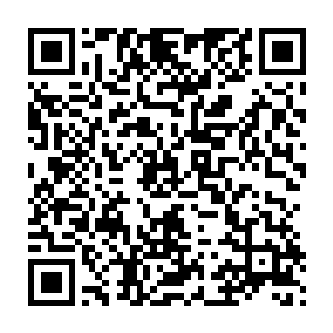 妮娜陛下才不是只记得吃的吃货呢――不过看你好像有些不开心的样子二维码生成