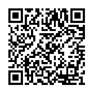 姐姐被那狗贼摸…摸……大人会不会不要姐姐了二维码生成