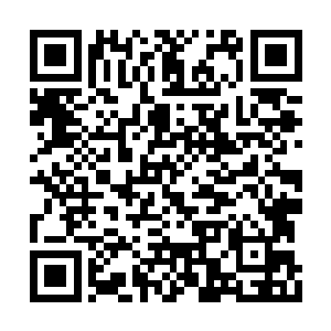 姜福杰和项公正从许紫烟那里得到了一点儿启示二维码生成