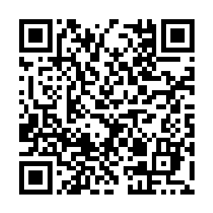 姬玄殇送给她的那副金线和宝石绣成的比翼鸟还在二维码生成