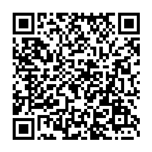 媒体和歌迷们知道为什么林肯公园出现在沈馥拉斯维加斯演唱会上了二维码生成