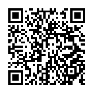 子弹瓢泼一样对着巴赫和哈雷藏身的地方倾泄过去二维码生成