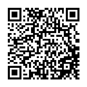 孔雀固然已经可以宣布仅凭国内票房就可以顺利实现盈利了二维码生成