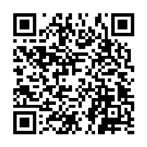 存在前后矛盾的疑点我们需要你配合我们接受调查二维码生成