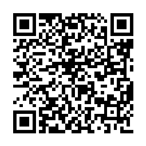 孙子轩又将目光移回到新任阎罗王无良大叔身上二维码生成