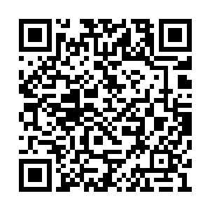 孙子轩在看到红裙美女从靓腿上摘下来的带子后二维码生成