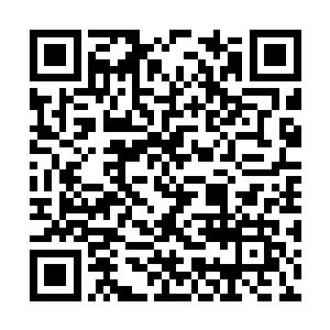 孙子轩手指弹动的速度已经快到了肉眼难辨的程度二维码生成