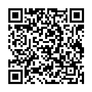 孙子轩看着这个穿的和一只大蛤蟆一样的中年男人二维码生成