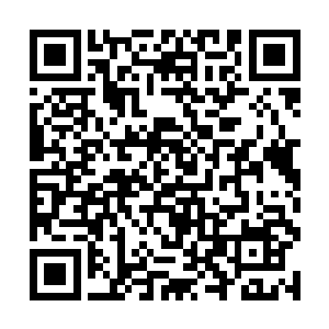 孙老爷子口中干头就饭店里客人剩下的骨头啊之类的二维码生成