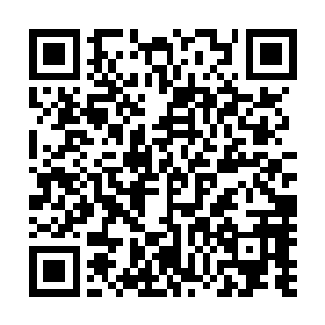 孟猊之前还觉得自己和老伙计联手应该能处理得了任何变故二维码生成