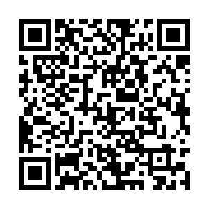 孟雅晴的对手赫然是一位大圣域七重天的古族天才二维码生成