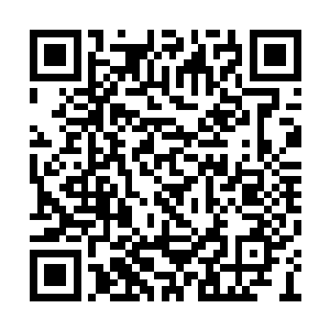 季双此时已经悄然屏住呼吸站到了季疏云的身边二维码生成